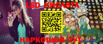 амф Новодвинск