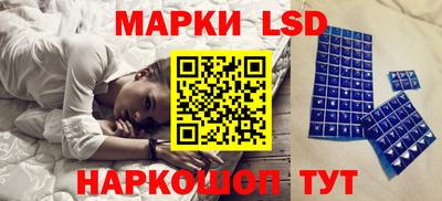 a pvp Новозыбков