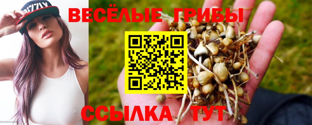 Новокубанск  Псилоцибиновые грибы GOLDEN TEACHER  Вход с VPN  Галлюциногенные грибы Cubensis 