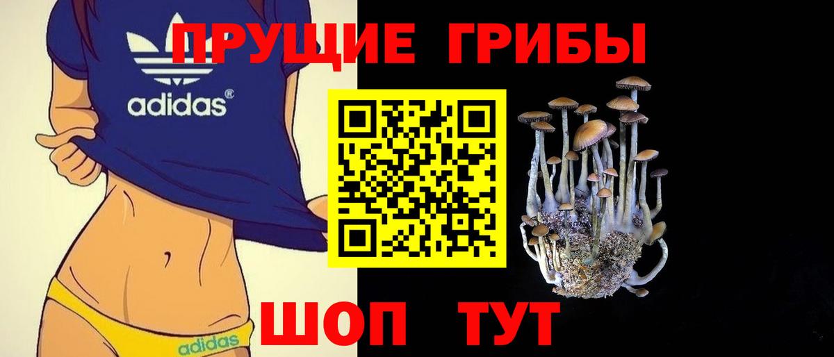Галлюциногенные грибы Cubensis Новокубанск